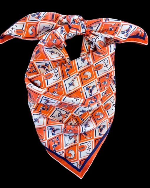 Auburn Gameday Scarf In Blue/Orange